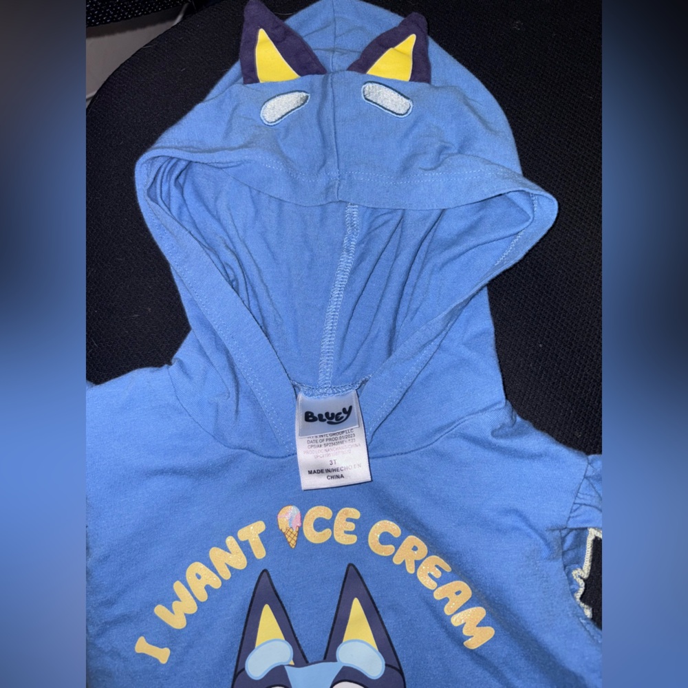 Bluey 3T outfit